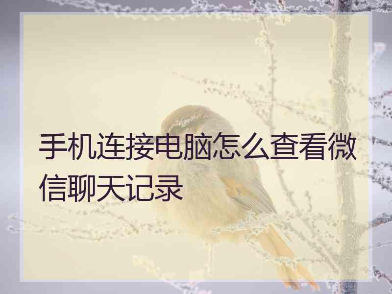 手机连接电脑怎么查看微信聊天记录
