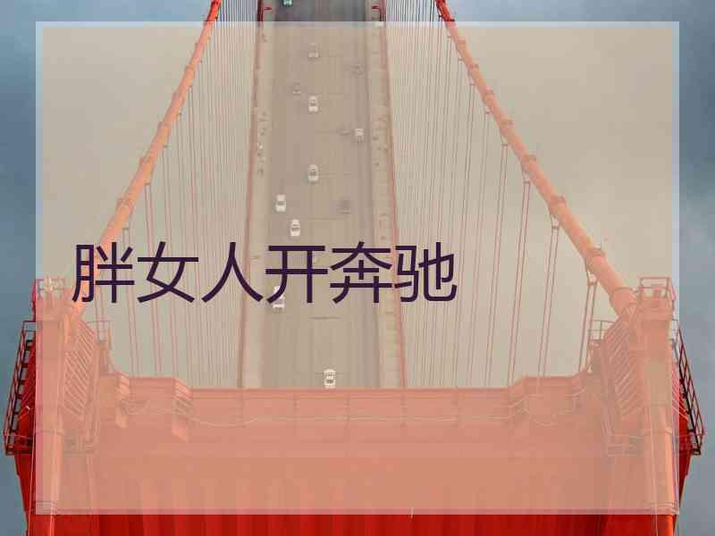 胖女人开奔驰