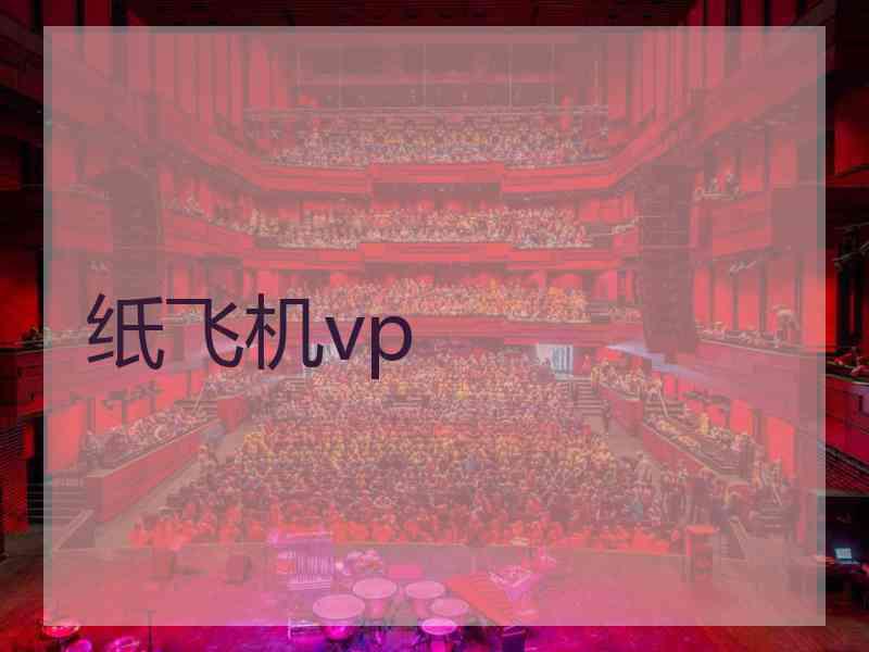纸飞机vp