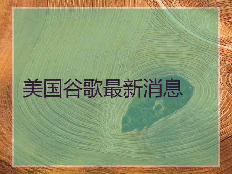 美国谷歌最新消息