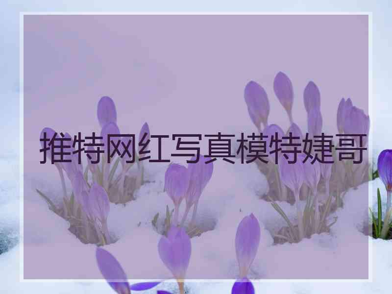 推特网红写真模特婕哥