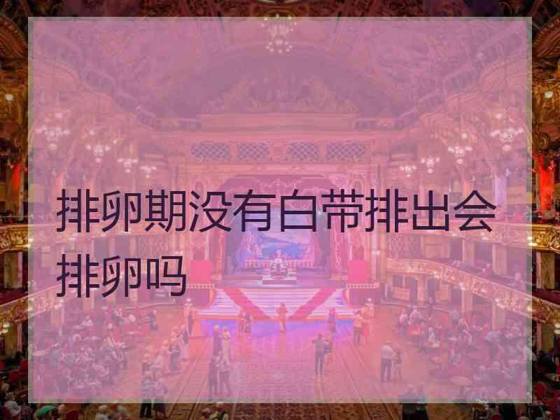 排卵期没有白带排出会排卵吗