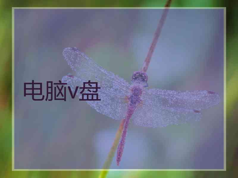 电脑v盘