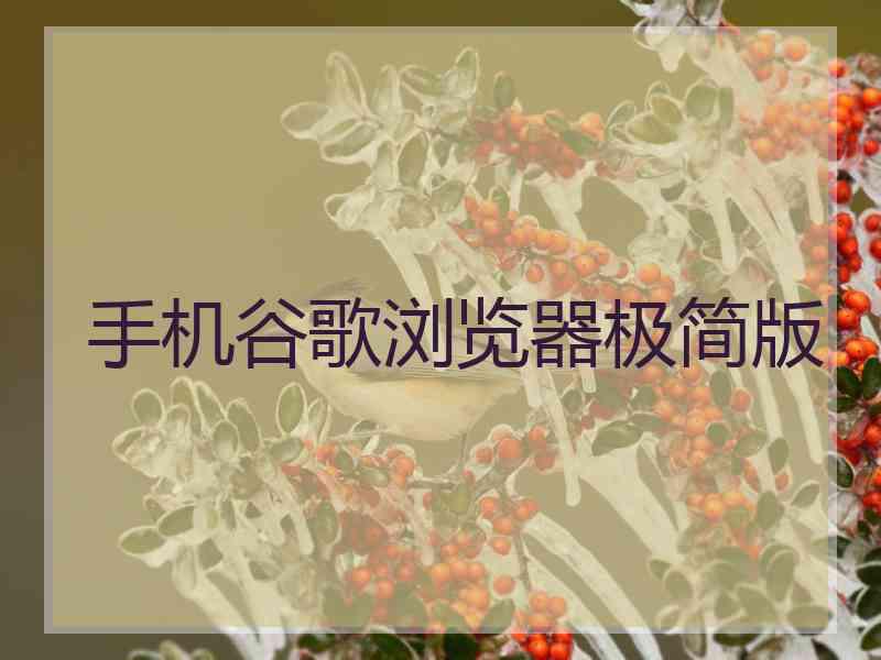 手机谷歌浏览器极简版