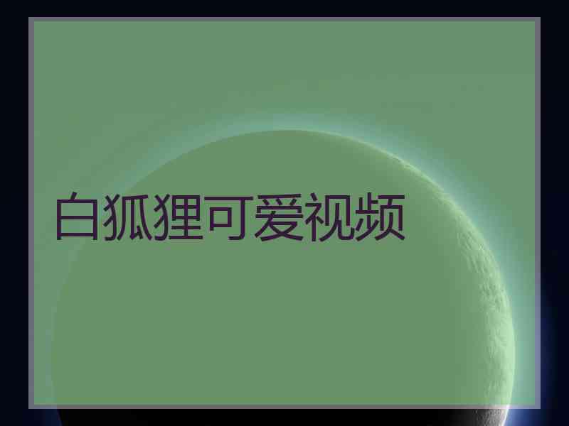 白狐狸可爱视频