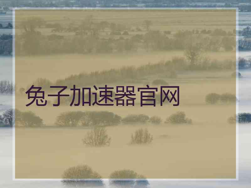 兔子加速器官网