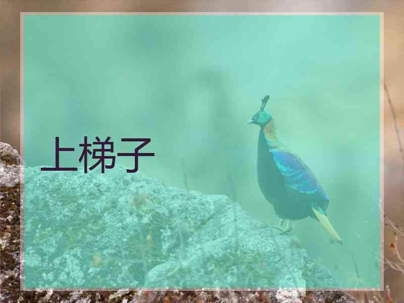 上梯子