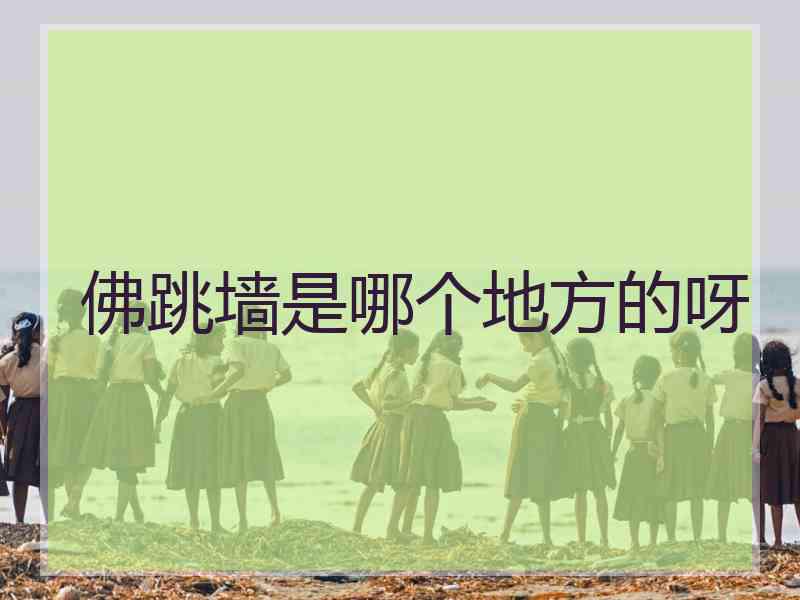 佛跳墙是哪个地方的呀