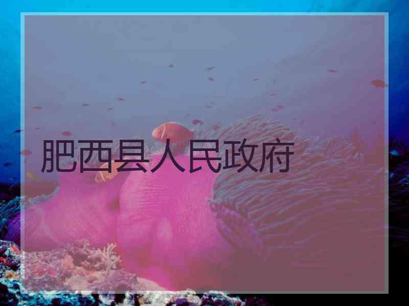 肥西县人民政府