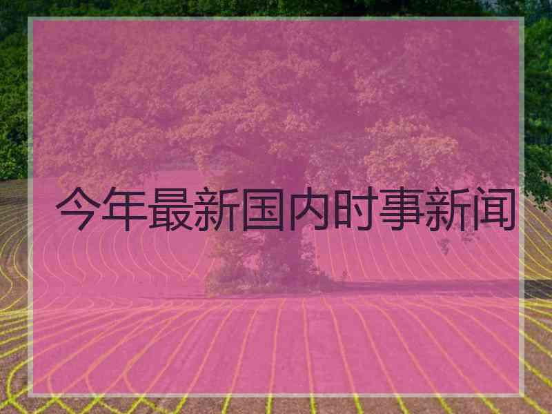 今年最新国内时事新闻