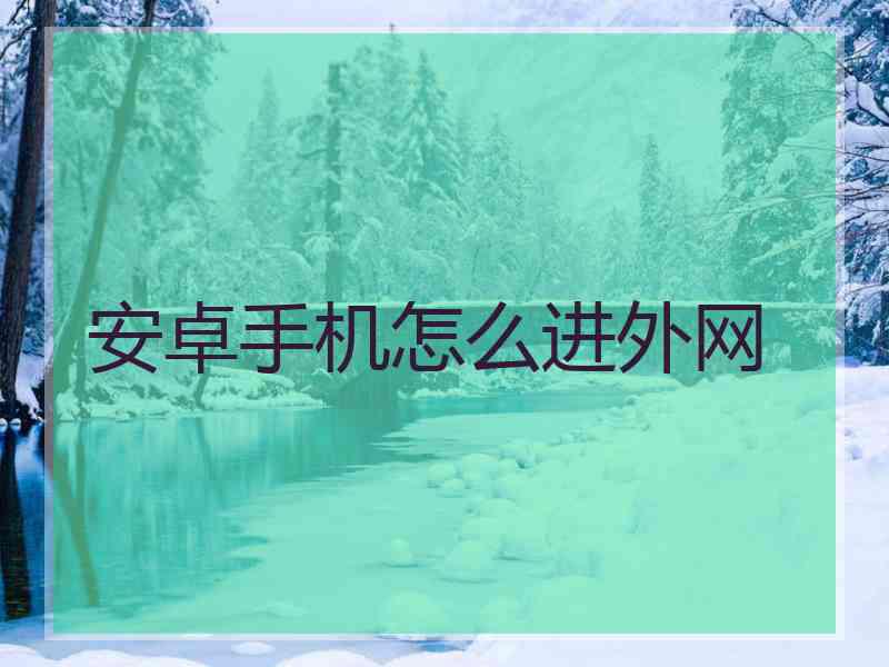 安卓手机怎么进外网