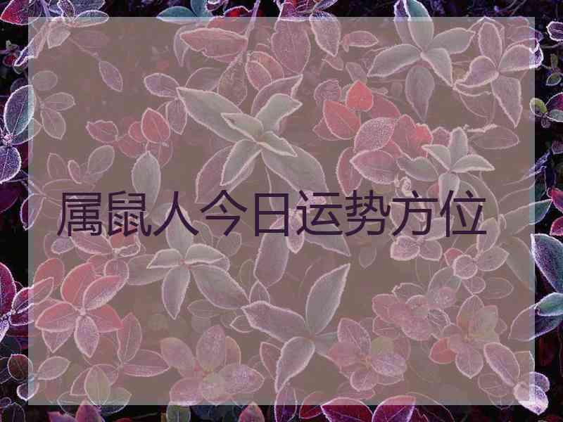 属鼠人今日运势方位