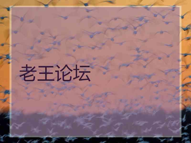 老王论坛