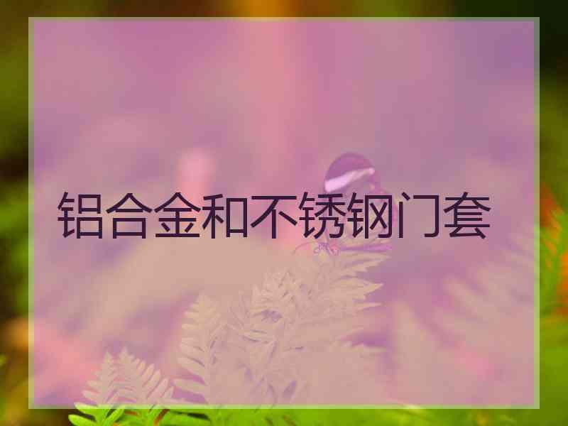 铝合金和不锈钢门套
