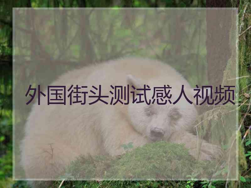 外国街头测试感人视频