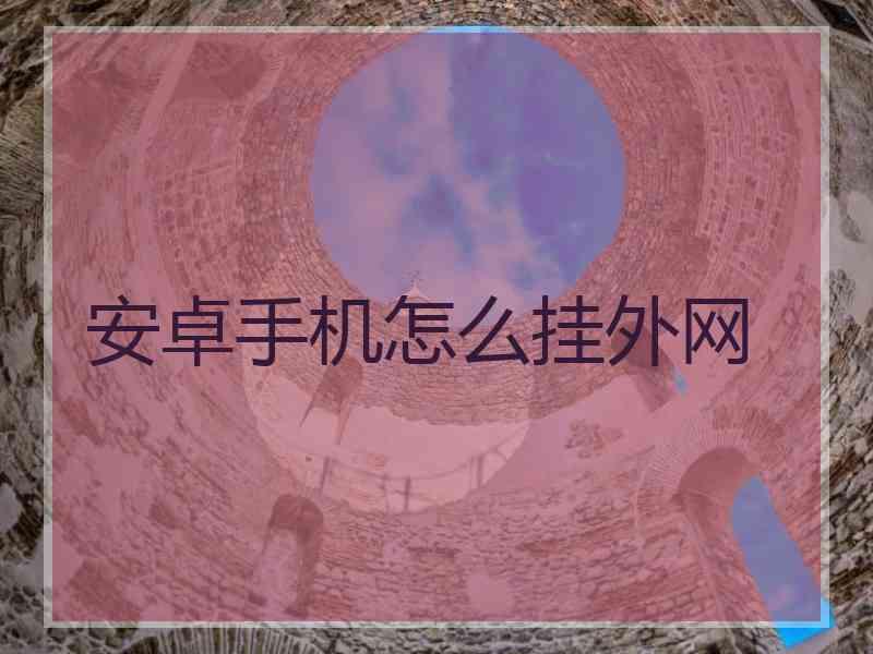 安卓手机怎么挂外网