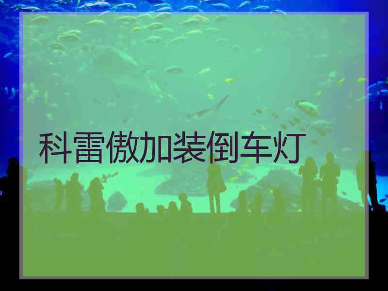 科雷傲加装倒车灯
