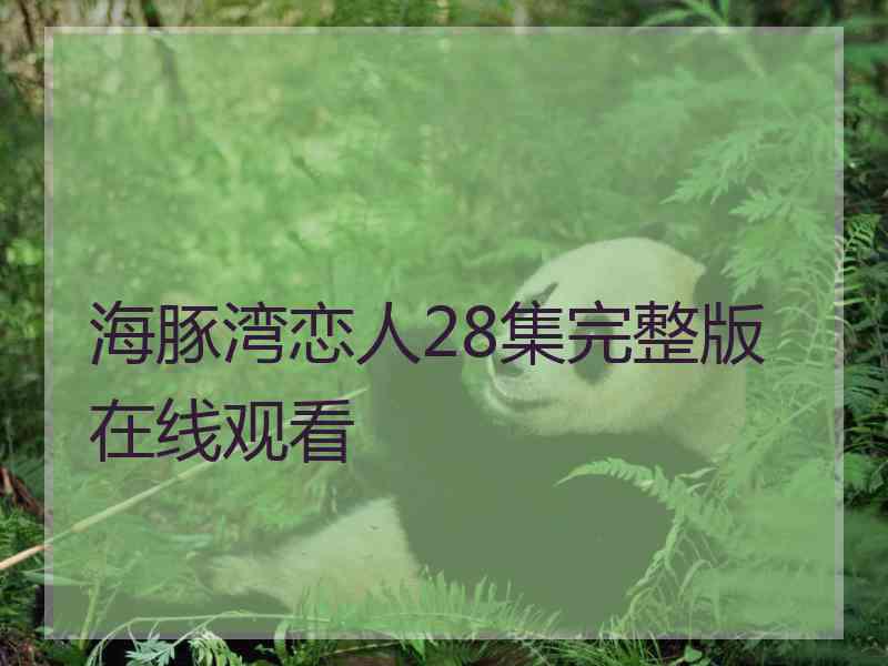 海豚湾恋人28集完整版在线观看