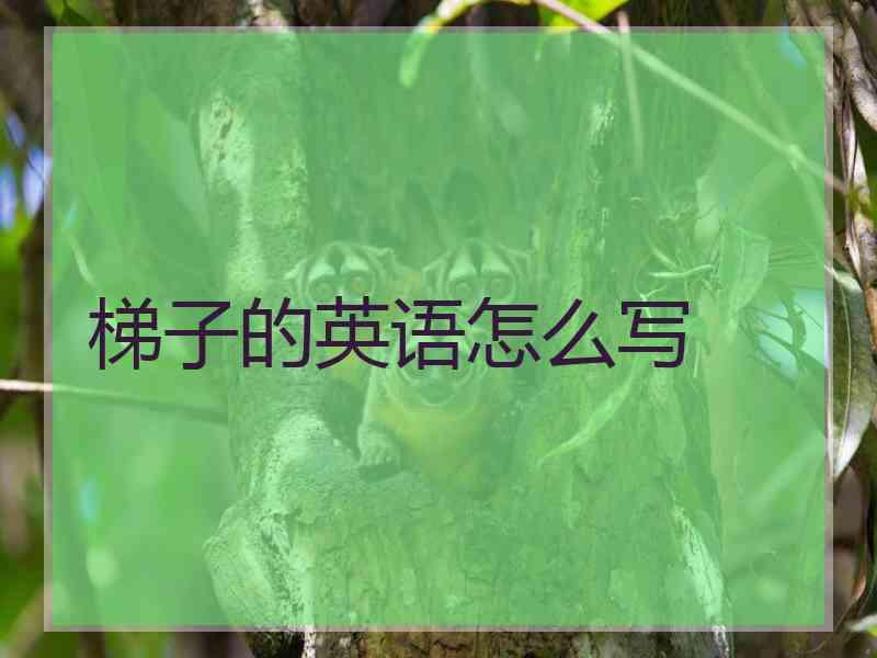 梯子的英语怎么写