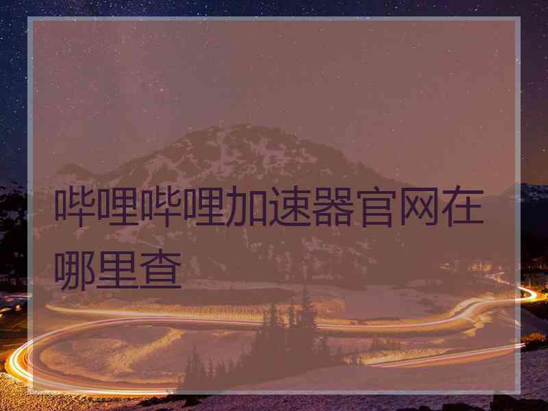 哔哩哔哩加速器官网在哪里查