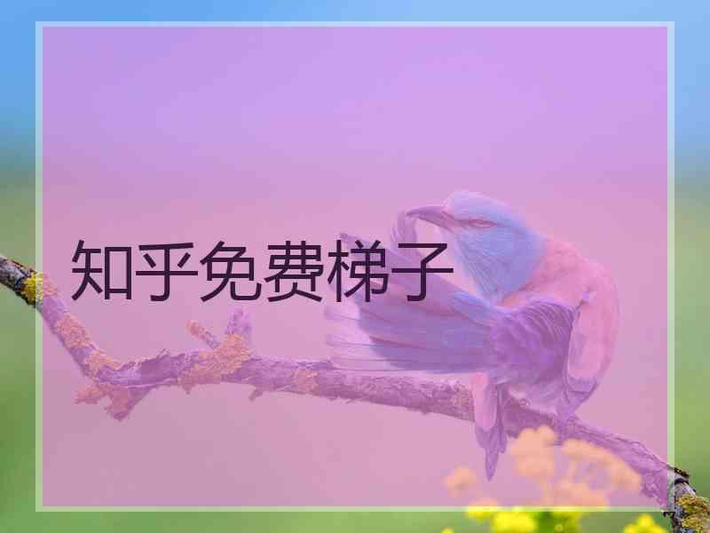 知乎免费梯子