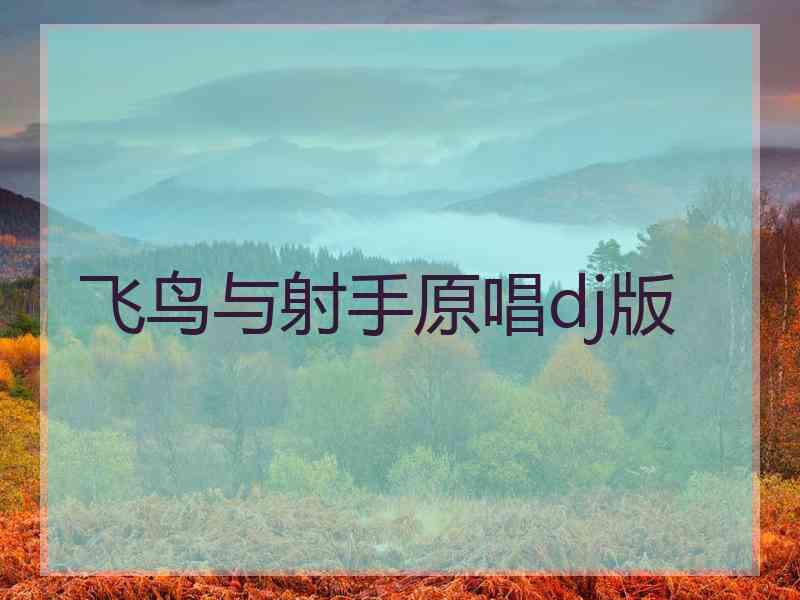 飞鸟与射手原唱dj版