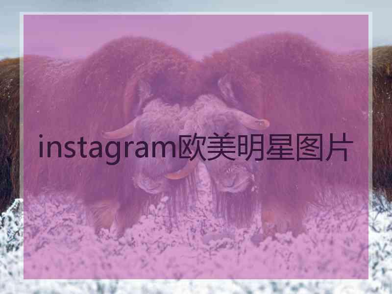 instagram欧美明星图片