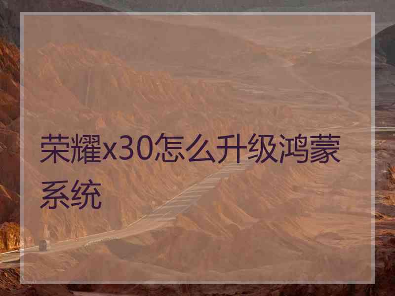 荣耀x30怎么升级鸿蒙系统