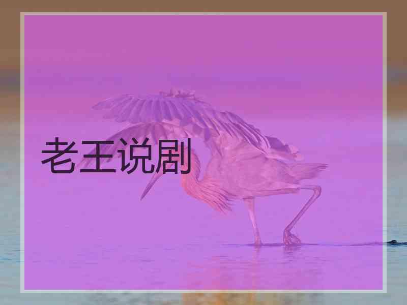 老王说剧