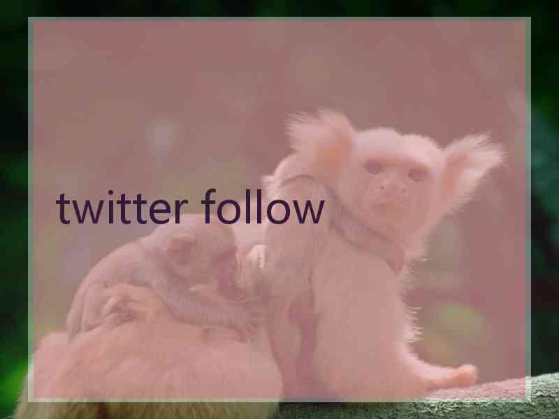 twitter follow