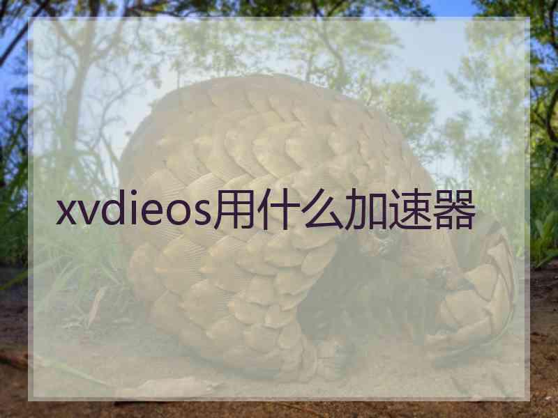 xvdieos用什么加速器