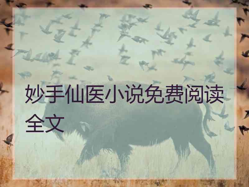 妙手仙医小说免费阅读全文