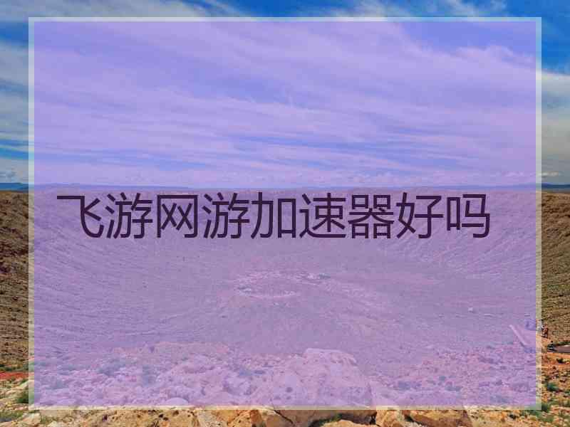 飞游网游加速器好吗