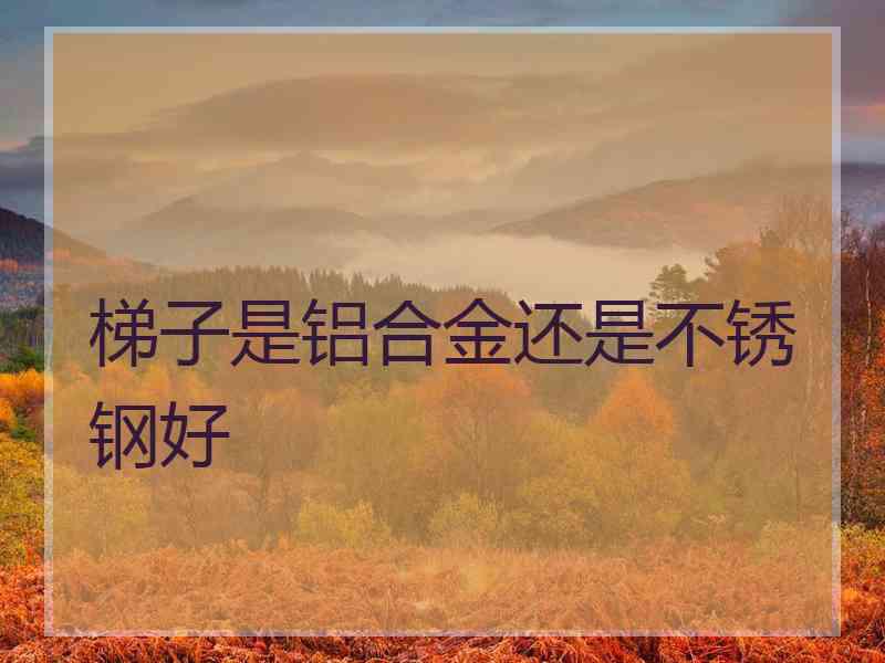 梯子是铝合金还是不锈钢好