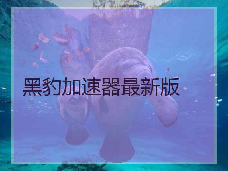 黑豹加速器最新版