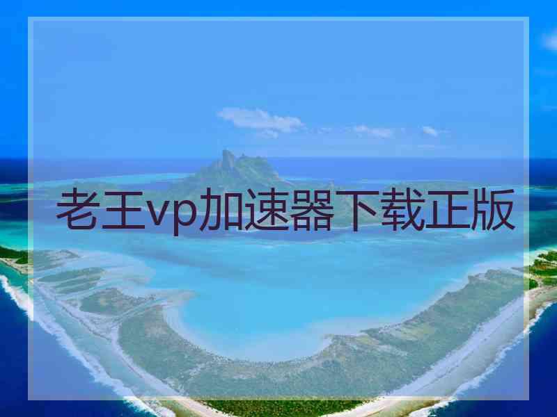 老王vp加速器下载正版