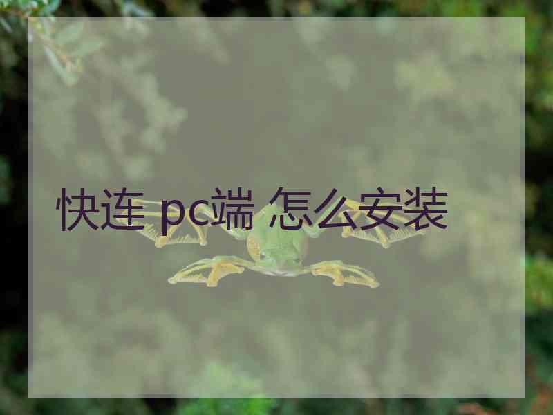 快连 pc端 怎么安装