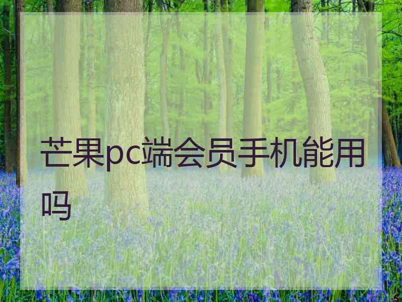 芒果pc端会员手机能用吗