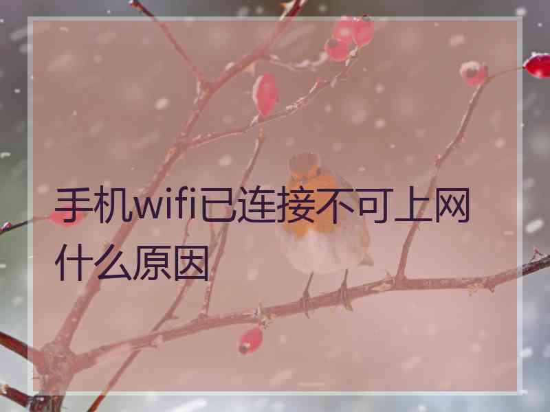 手机wifi已连接不可上网什么原因