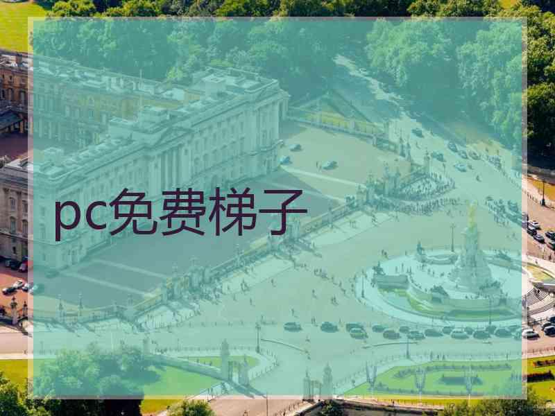 pc免费梯子
