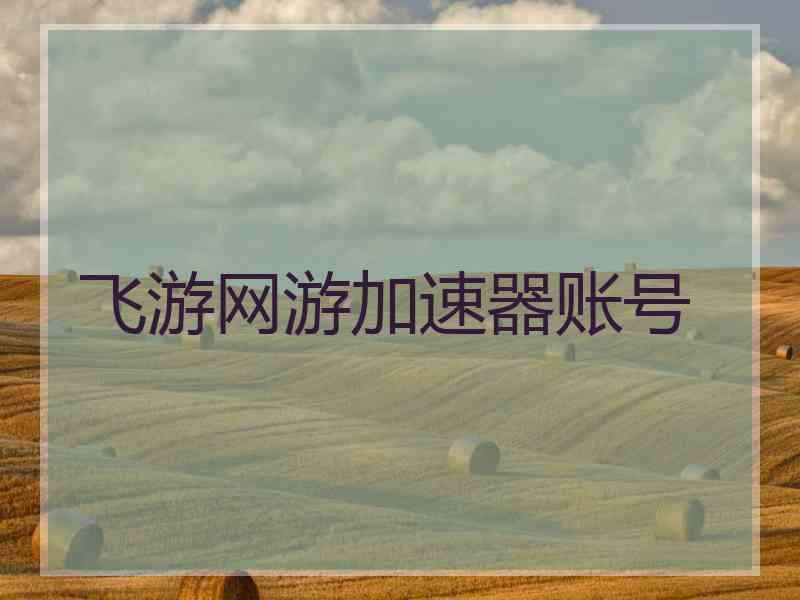 飞游网游加速器账号