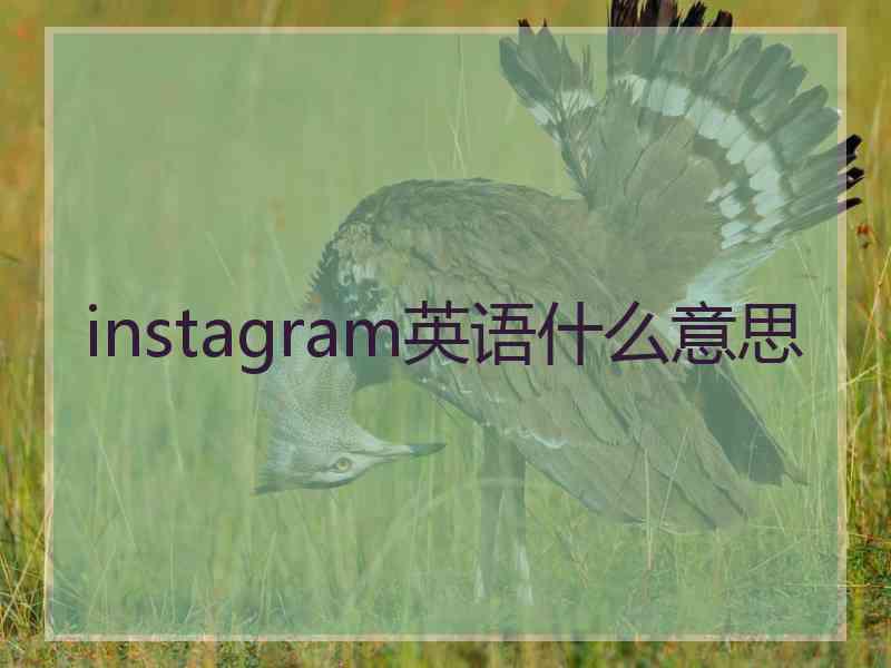 instagram英语什么意思