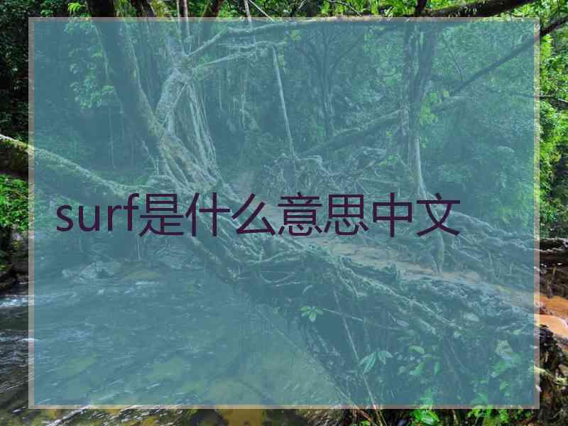 surf是什么意思中文