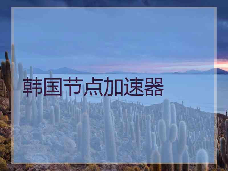 韩国节点加速器