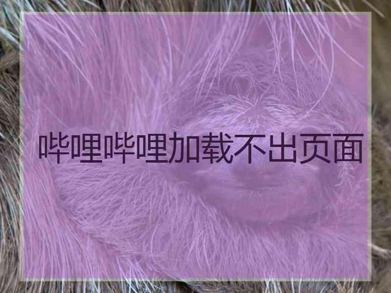 哔哩哔哩加载不出页面