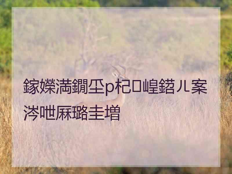 鎵嬫満鐗坕p杞崲鍣ㄦ案涔呭厤璐圭増
