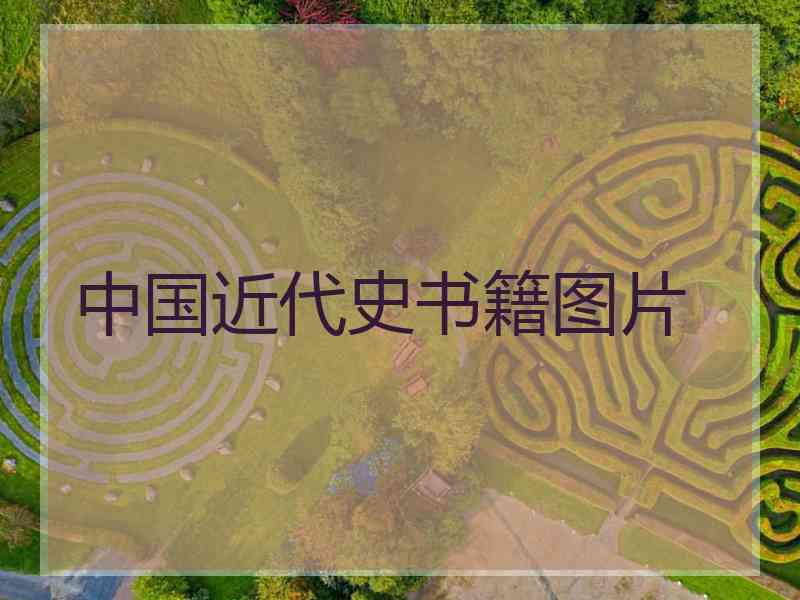 中国近代史书籍图片