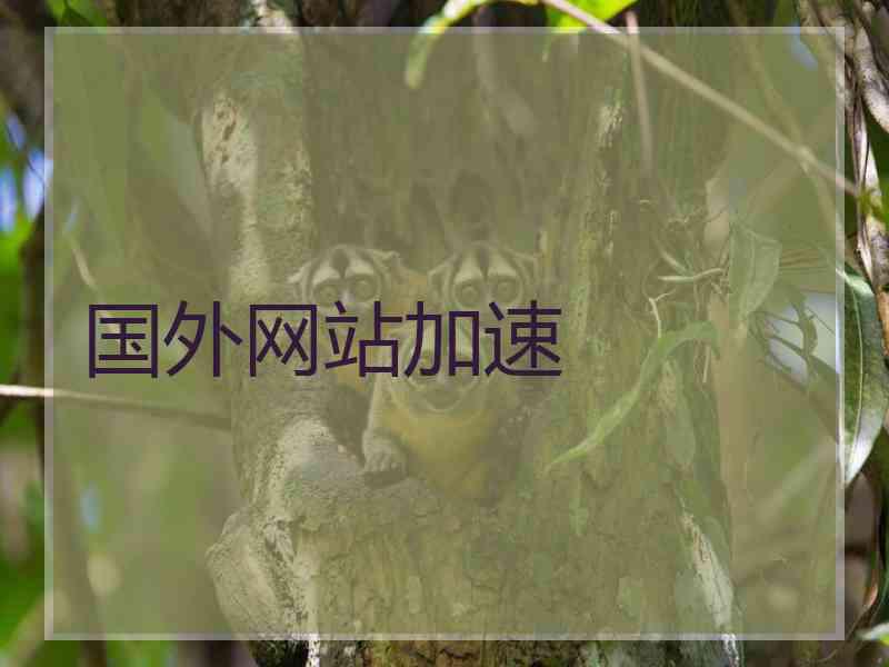 国外网站加速