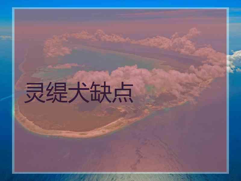 灵缇犬缺点