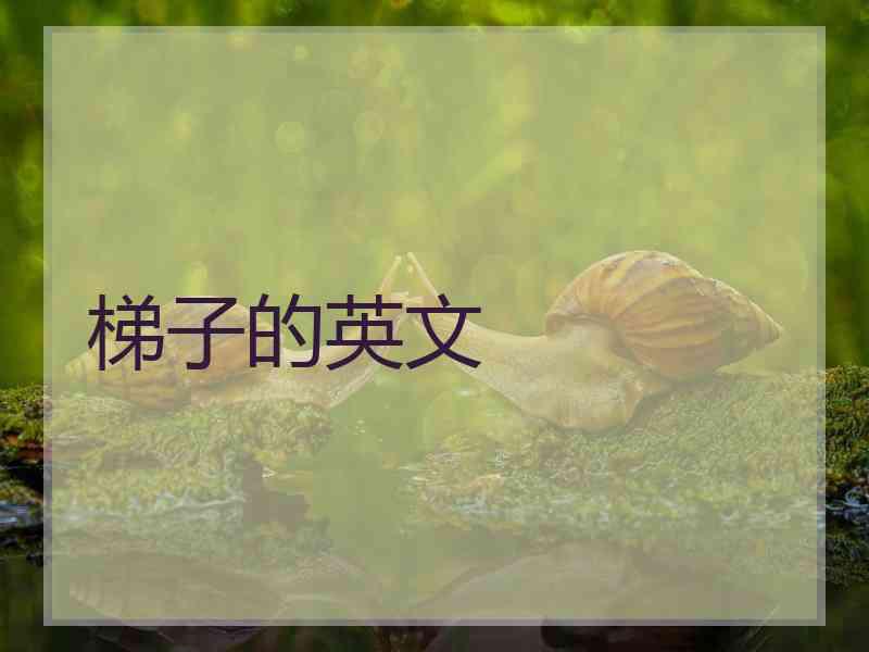 梯子的英文